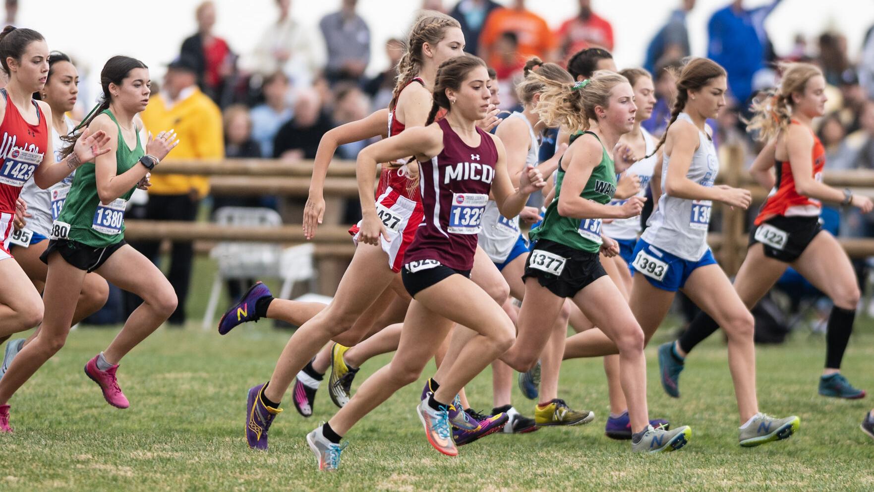 2022 All-Metro girls cross country